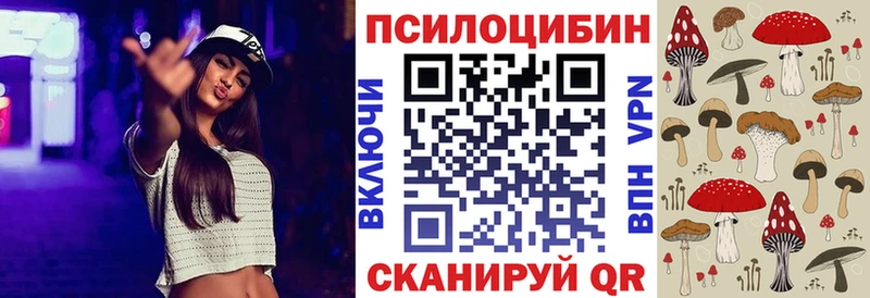 kraken как войти  Пойковский  Галлюциногенные грибы Psilocybe 